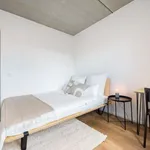 Rent a room of 67 m² in frankfurt