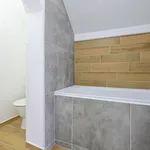 Rent 2 bedroom apartment in Plzeň