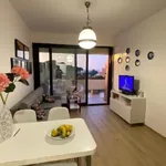 Rent 2 bedroom apartment of 55 m² in Livorno