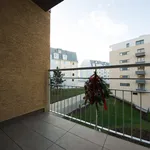 Rent 1 bedroom apartment of 33 m² in Capital City of Prague