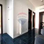 Rent 4 bedroom apartment of 127 m² in Bari