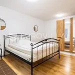 Rent 1 bedroom apartment of 40 m² in Strožanac Donji