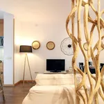 Rent 1 bedroom apartment of 45 m² in Madrid