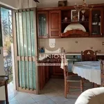 Rent 3 bedroom apartment of 156 m² in Terpsithea