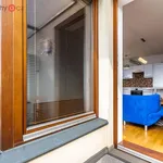 Rent 1 bedroom apartment of 42 m² in Praha