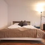 Rent 1 bedroom apartment in Prague