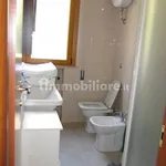 Rent 4 bedroom apartment of 90 m² in Siena