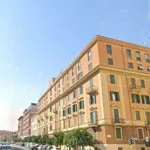 Rent 2 bedroom apartment of 50 m² in Rome