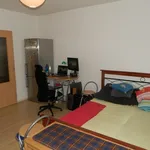 Rent 1 bedroom apartment of 20 m² in Pilsen