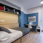 Rent 1 bedroom apartment in madrid