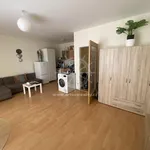 Rent 1 bedroom apartment of 40 m² in Brno