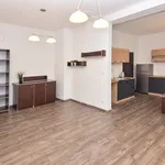 Rent 1 bedroom apartment of 37 m² in Sázava