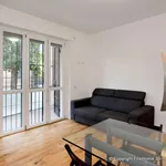 Rent 2 bedroom apartment of 55 m² in Milan