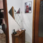 Rent 3 bedroom apartment of 100 m² in Pavia