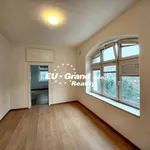 Rent 4 bedroom apartment in Děčín