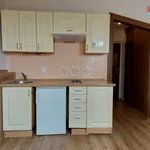 Rent 1 bedroom apartment of 20 m² in Capital City of Prague