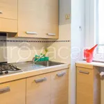 Rent 1 bedroom apartment of 28 m² in Pomezia