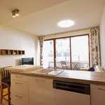 Rent 1 bedroom apartment of 65 m² in Prague