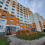 Pronájem byty 1+1, 39 m2 - Karviná - Ráj