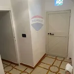 Affitto 3 camera appartamento di 40 m² in 5
 
 Monte Sant'Angelo