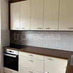 Rent 3 bedroom apartment of 65 m² in Santa Cristina Valgardena