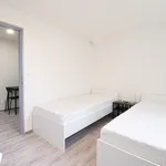 Rent 1 bedroom apartment in Brno