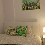 Alquilo 1 dormitorio apartamento de 60 m² en madrid