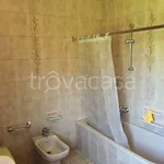 Rent 4 bedroom apartment of 75 m² in Legnaro