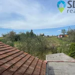 Rent 1 bedroom house in Záhumení