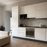 Rent 1 bedroom apartment in Milan