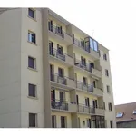 Rent 2 bedroom apartment of 39 m² in St martin d heres