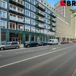 Rent 1 bedroom apartment of 27 m² in Brno