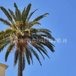 Rent 2 bedroom apartment of 80 m² in Naples