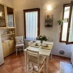 Rent 1 bedroom apartment of 60 m² in florence