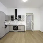 Rent 3 bedroom apartment of 76 m² in Capital City of Prague