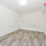 Rent 1 bedroom apartment of 29 m² in Ústí nad Labem