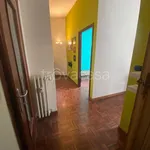 Rent 3 bedroom apartment of 75 m² in Torino