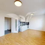 Rent 1 bedroom apartment of 29 m² in Pilsen