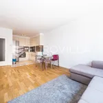 Rent 1 bedroom apartment of 50 m² in Zagreb