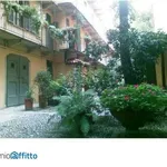 Rent 1 bedroom apartment of 50 m² in Milan