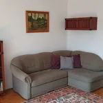 Rent 2 bedroom apartment of 49 m² in Janiny Hurynowicz