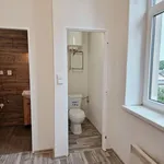 Rent 1 bedroom apartment in Ostrava