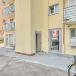 Miete 2 Schlafzimmer wohnung von 45 m² in Zürich