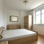 Rent 2 bedroom apartment in Louny