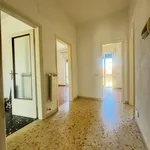 Rent 2 bedroom apartment of 100 m² in viareggio