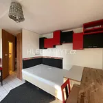 Rent 1 bedroom apartment of 33 m² in Capital City of Prague