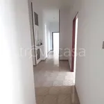 Rent 3 bedroom apartment of 100 m² in Cardito