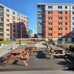 Rent 1 bedroom apartment in Manchester