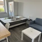  appartement avec 1 chambre(s) en location à DigoinPortable