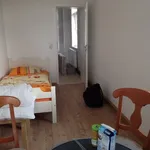 Miete 3 Schlafzimmer wohnung von 65 m² in Chemnitz